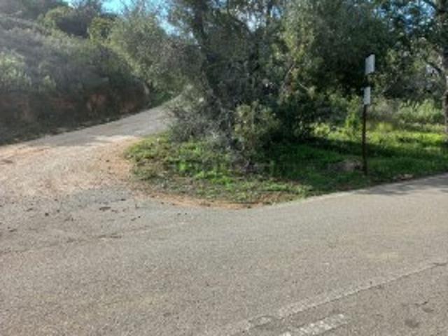 Terreno venda em Loulé, Faro