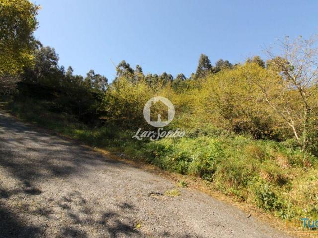 Terreno venda em Fafe, Braga