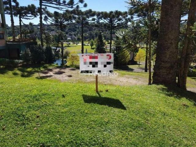 Terreno venda em Quinta da Serra, Canela