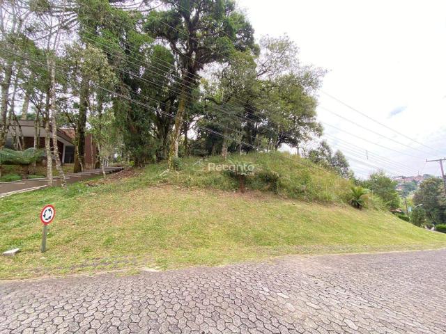 Terreno venda em Região Geográfica Imediata de Caxias do Sul, Canela