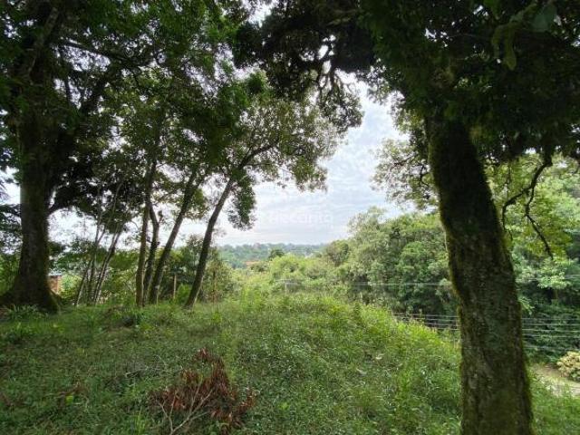 Terreno venda em Região Geográfica Imediata de Caxias do Sul, Canela