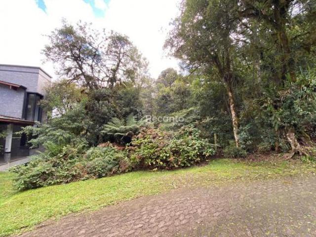 Terreno venda em Quinta da Serra, Canela
