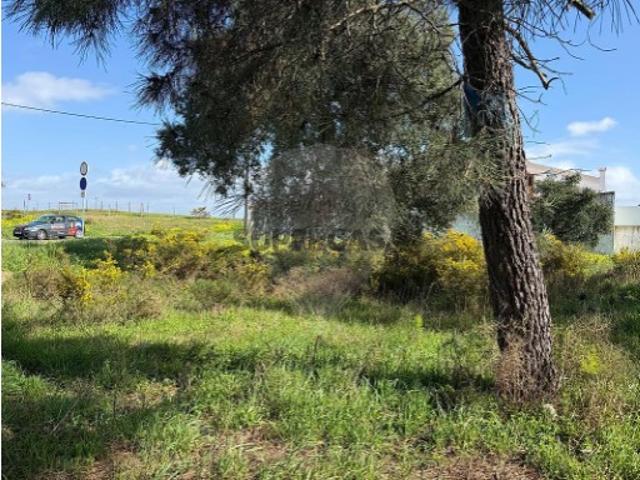 Terreno venda em Palmela, Setúbal
