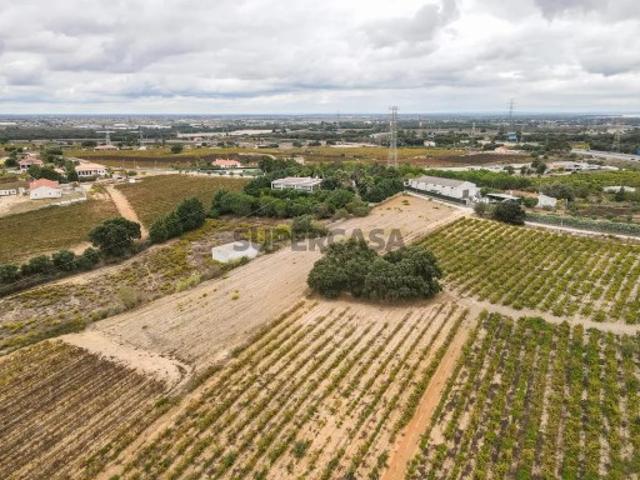 Terreno venda em Palmela, Setúbal