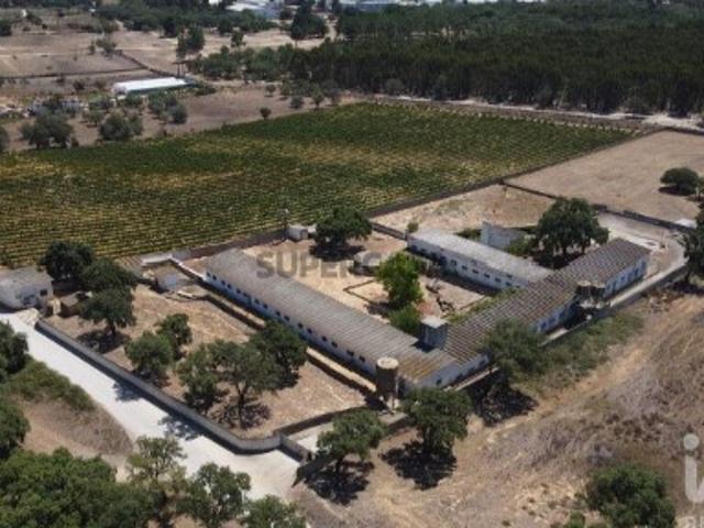 Terreno venda em Palmela, Setúbal