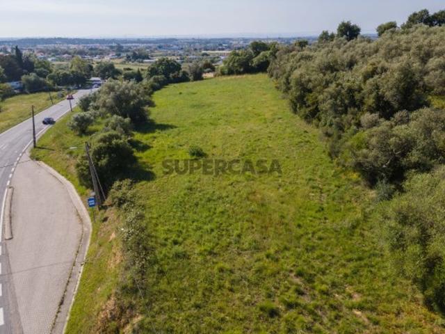 Terreno venda em Quinta do Anjo, Palmela