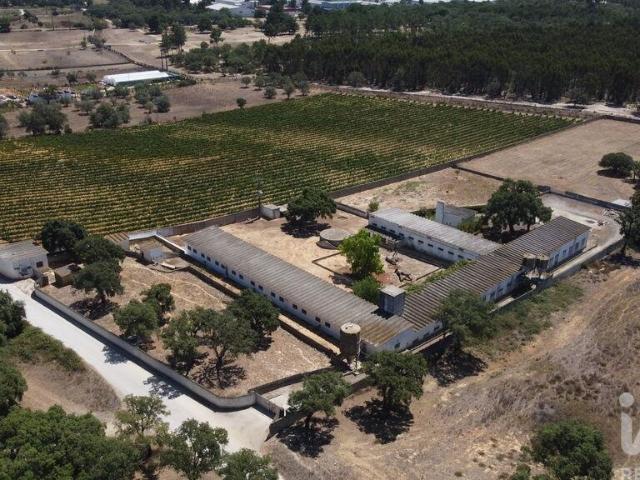 Terreno venda em Palmela, Setúbal