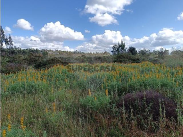 Terreno venda em Palmela, Setúbal