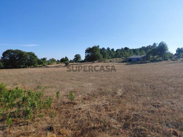 Terreno venda em Quintela, Viseu