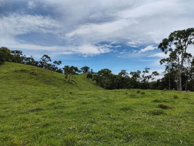 Terreno venda em Região Geográfica Imediata de Florianópolis, Pouso Redondo