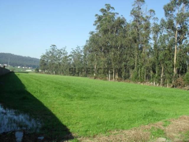 Terreno venda em A Ver-o-mar, Porto