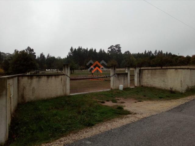 Terreno venda em Quinta do Morangal, Águeda