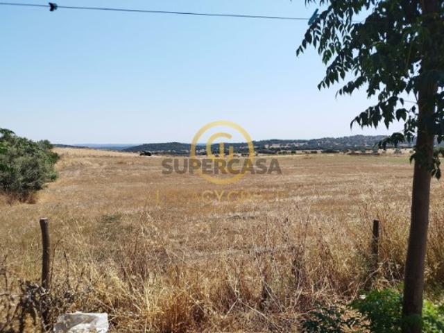 Terreno venda em Redondo, Bairro António Festas Terreno venda em Redondo, Bairro António Festas