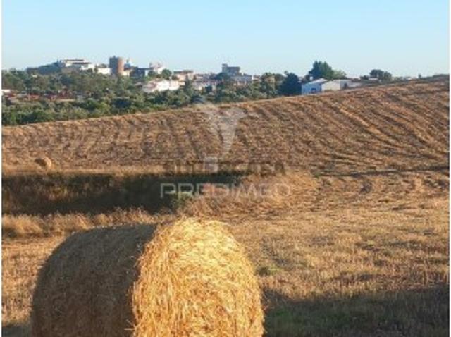 Terreno venda em Redondo, Bairro António Festas Terreno venda em Redondo, Bairro António Festas