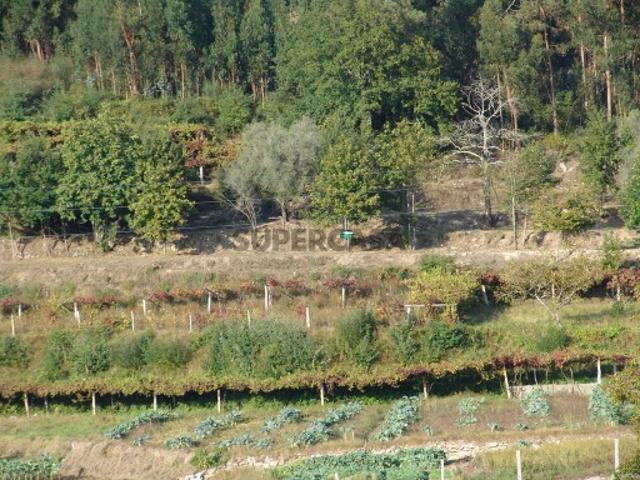 Terreno venda em Boalhosa, Viana Do Castelo