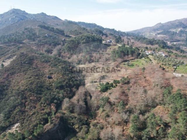 Terreno venda em Fojos, Cabeceiras De Basto