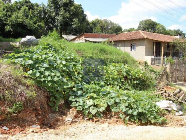 Terreno venda em Região Geográfica Imediata de Curitiba, Região Metropolitana de Curitiba
