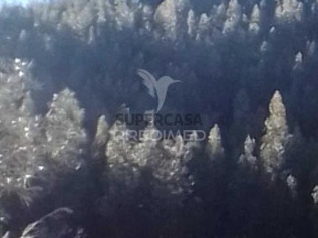 Terreno venda em Portalegre Terreno venda em Portalegre