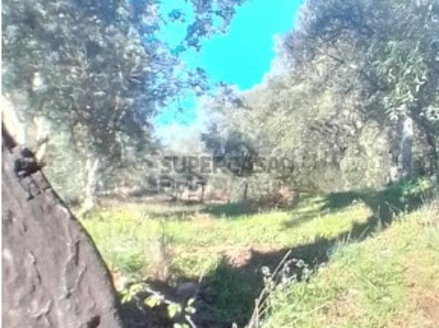 Terreno venda em Portalegre Terreno venda em Portalegre