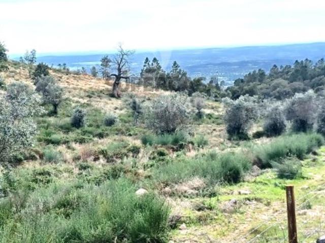 Terreno venda em Portalegre