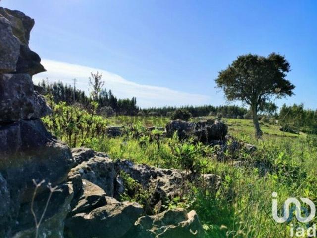 Terreno venda em Lourinhã, Lisboa