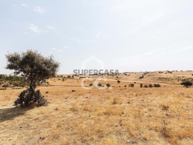 Terreno venda em Reguengos De Monsaraz, Évora