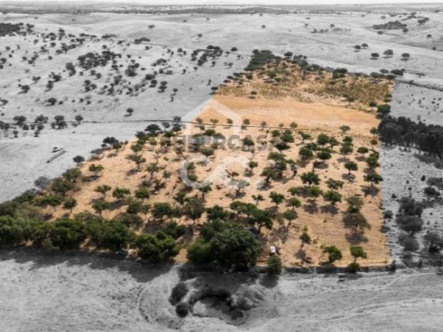 Terreno venda em Reguengos De Monsaraz, Évora