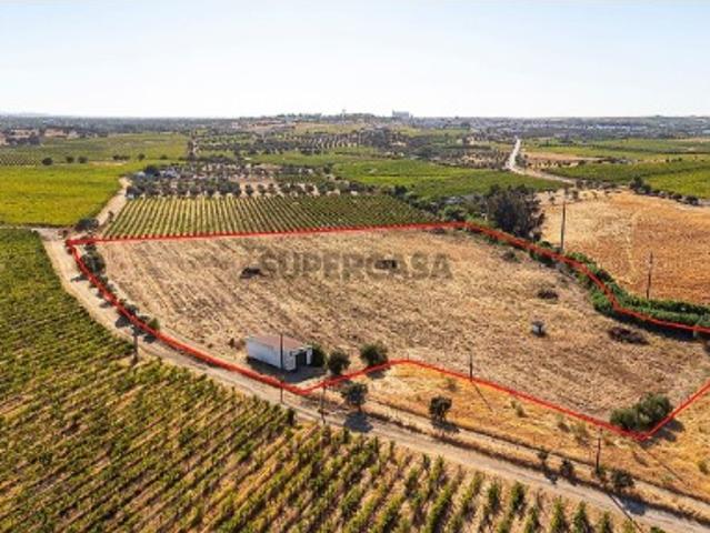 Terreno venda em Reguengos De Monsaraz, Évora