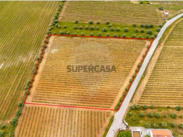 Terreno venda em Reguengos De Monsaraz