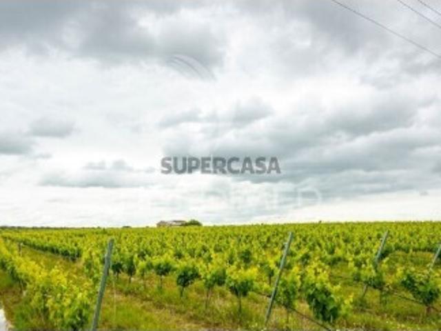 Terreno venda em Reguengos De Monsaraz, Évora