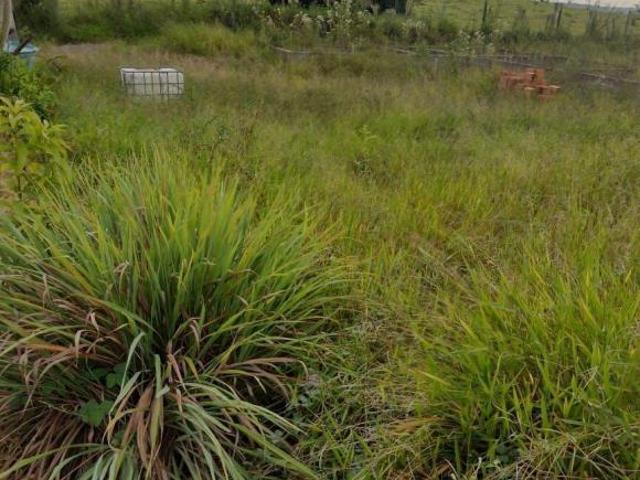 Terreno venda em Região Imediata de Sorocaba, Região Metropolitana de Sorocaba