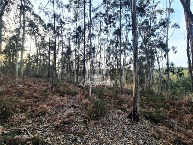 Terreno venda em Vila Do Conde, Porto