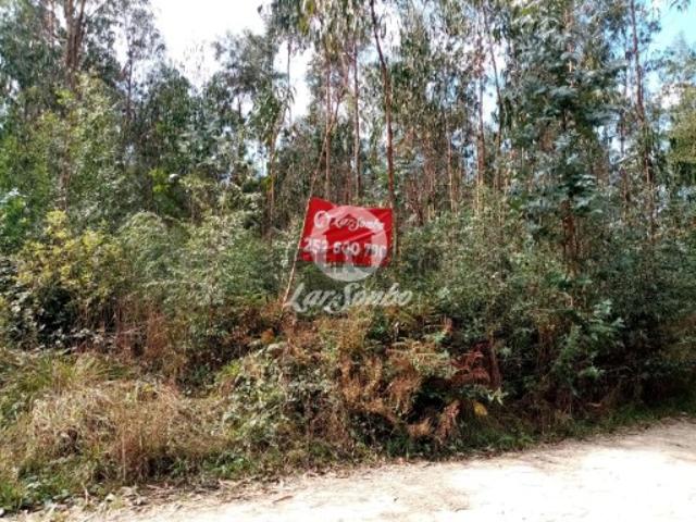 Terreno venda em Vila Do Conde, Porto