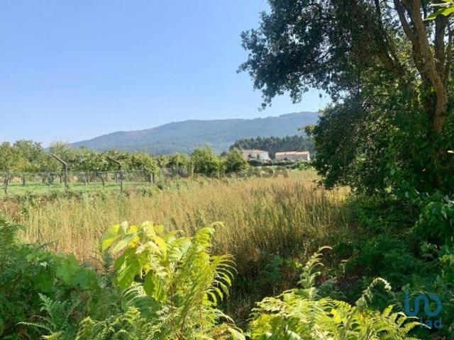 Terreno venda em Arga De Baixo, Viana Do Castelo
