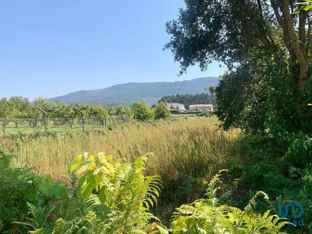 Terreno venda em Arga De Baixo, Viana Do Castelo