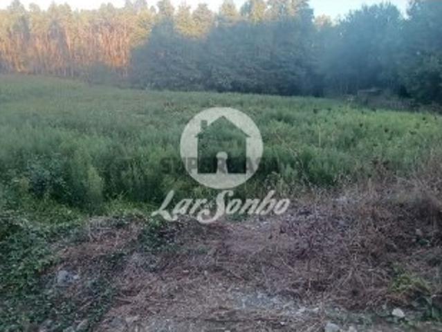 Terreno venda em Monte Alegre, Gavião