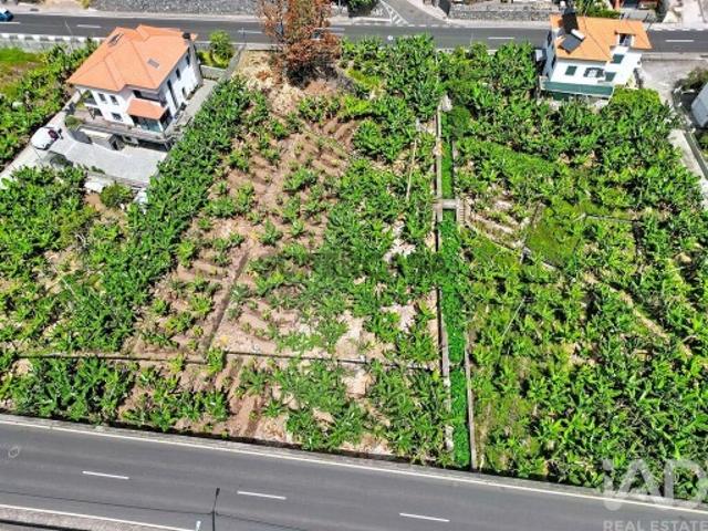 Terreno venda em Ribeira Brava, Ilha Da Madeira