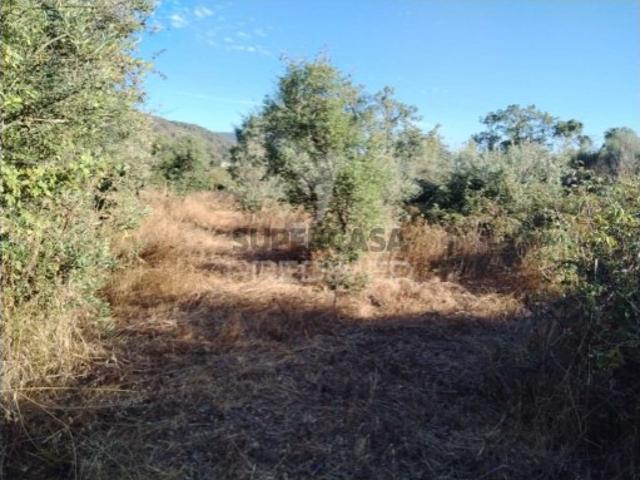 Terreno venda em Portalegre