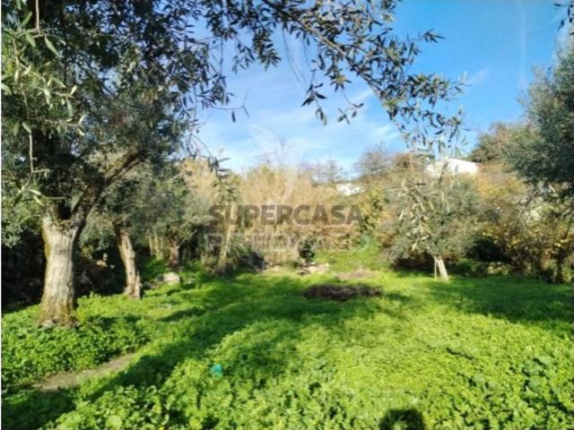 Terreno venda em Portalegre