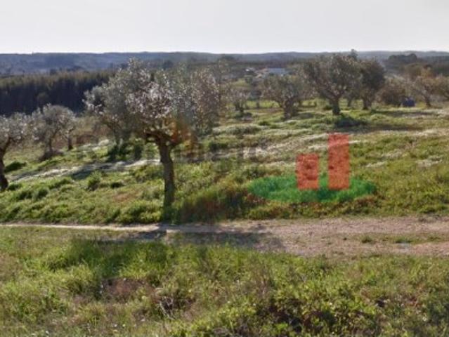 Terreno venda em Rio Maior, Santarém