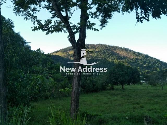 Terreno venda em Viana