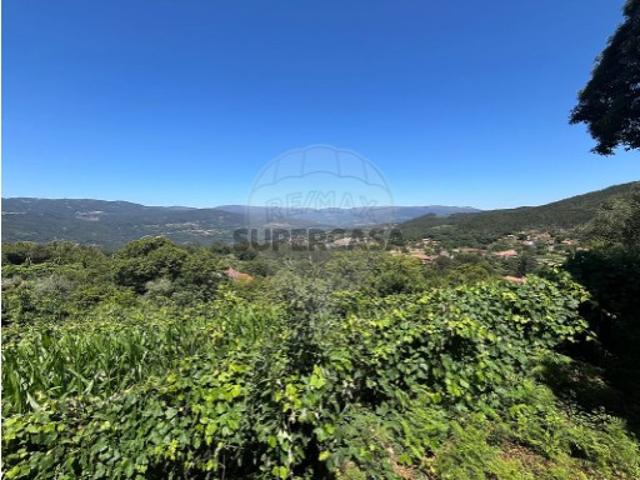 Terreno venda em Oliveira De Frades, Viseu