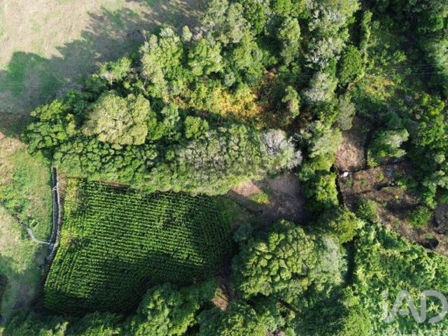 Terreno venda em Açores, Ribeiras