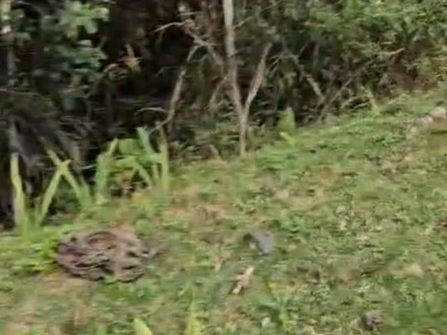 Terreno venda em Região Geográfica Imediata de Belo Horizonte, Região Metropolitana de Belo Horizonte