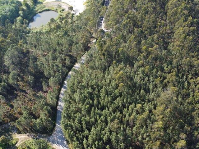 Terreno venda em Lagoa do Grou, Ourém