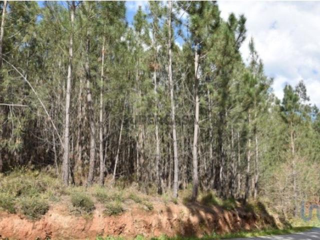 Terreno venda em Ourém, Santarém
