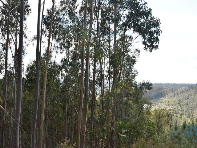 Terreno venda em Casal do Ribeiro, Ourém