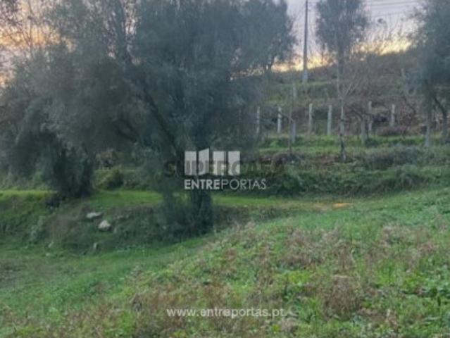 Terreno venda em Rio de Moinhos, Marecos