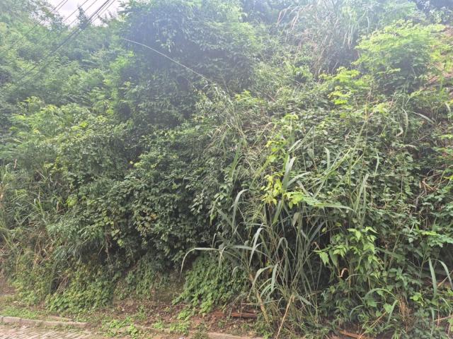 Terreno venda em Região Geográfica Imediata do Rio de Janeiro, Região Metropolitana do Rio de Janeiro