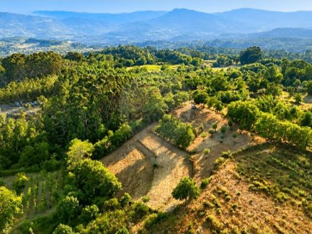 Terreno venda em Rio Douro, Cabeceiras de Basto